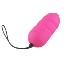 Control Remoto Huevo De Pilas Ocean Dream Egg Vibrator Mando Recargable Adrien Lastic