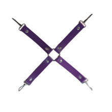 Cruz Sistema De Restricción