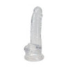Dildo Jelly Transparente Alive Torrent