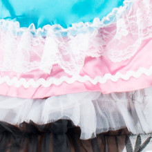 Disfraz Alemana Rosa