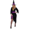 Disfraz Bruja