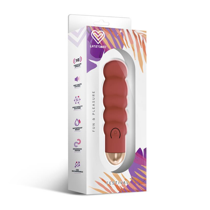 Estimulador Recargable Vibrador Festival USB Ewon Burdeos