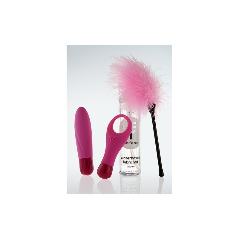 Estuche ToyJoy JFY LUX BOX Nº 2 PINK