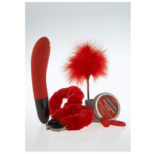 Estuche ToyJoy JFY Lux Box Nº 4 Red