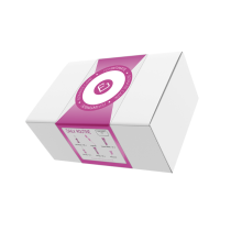 Femintimate Daily Routine Kit