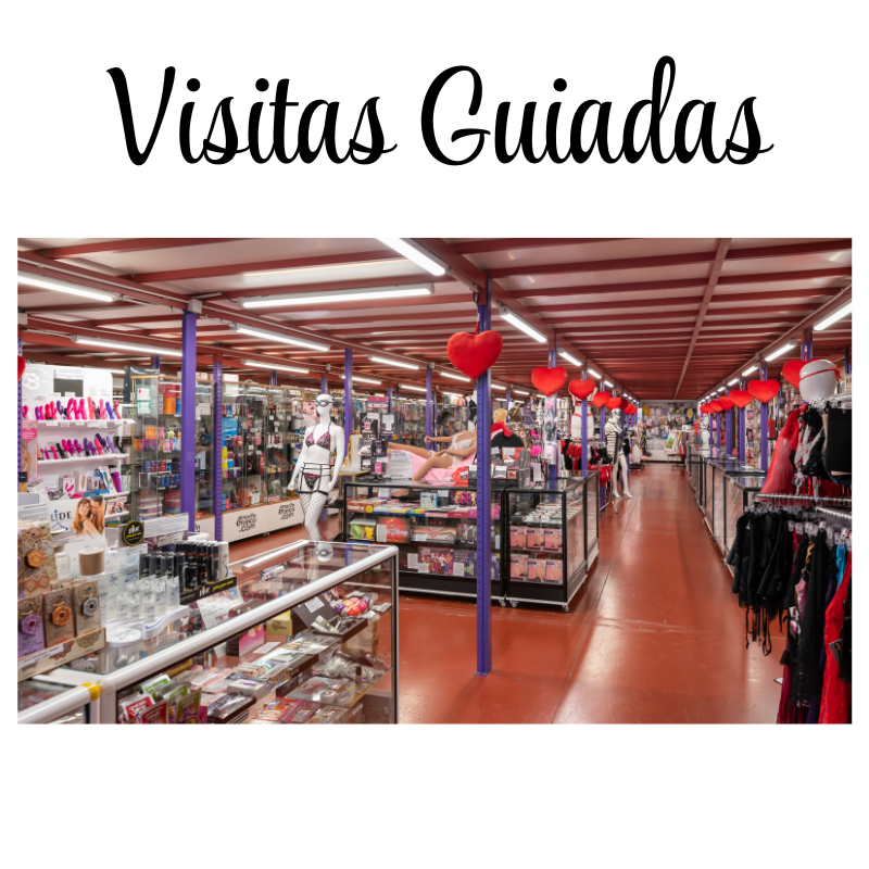 Visita Guiada a nuestra exposición