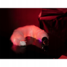 Cola de Zorro Metal Rosa con Luces Light Up Ouch