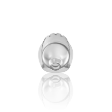 Jaula de Castidad Man Cage 29