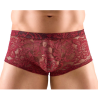 Bóxer Svenjoyment Encaje Burdeos