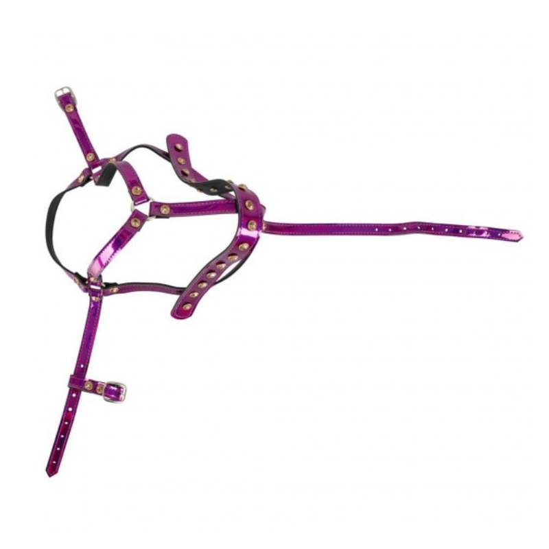 Arnés de Cabeza Brillo Morado Bad Kitty