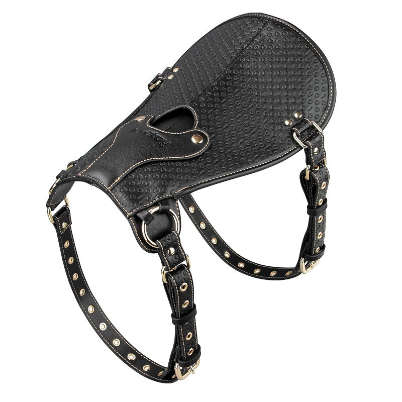 Silla de Montar Rebellion Reign