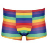 Bóxer Rainbow Svenjoyment