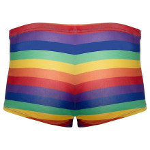 Bóxer Rainbow Svenjoyment