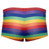 Bóxer Rainbow Svenjoyment