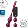Satisfyer Love Birds Vary APP + Control Remoto