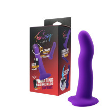 Vibrador Recargable Sweet Control Remoto