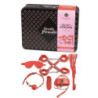 Kit BDSM Secret Play 8 Piezas Rojo Love Play & Enjoy