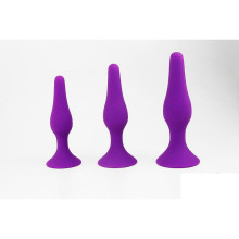 Kit Plug Anal Training Intimen Morado