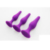 Kit Plug Anal Training Intimen Morado
