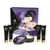 Kit Secret Geisha Frutas Exóticas Shunga