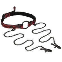 Mordaza Con Anillo Y Pinzas Bondage Scandal