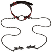 Mordaza Con Anillo Y Pinzas Bondage Scandal