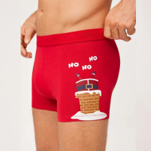 Navidad Bóxer Ysabel Mora